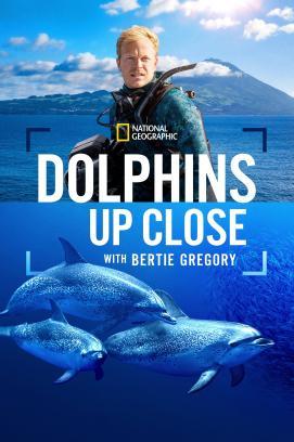 Delfine Hautnah mit Bertie Gregory